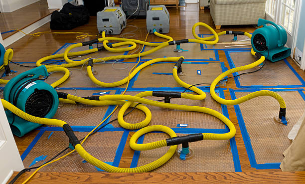 Professional Structural Drying And Dehumidification technician working in Dublin, VA